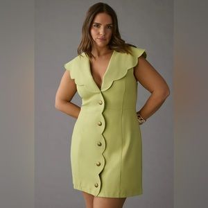 Anthropologie Maeve Scalloped Button down dress, size L, NWT